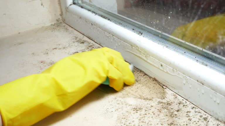 Best Emergency Mold Remediation  in Woodstock, GA